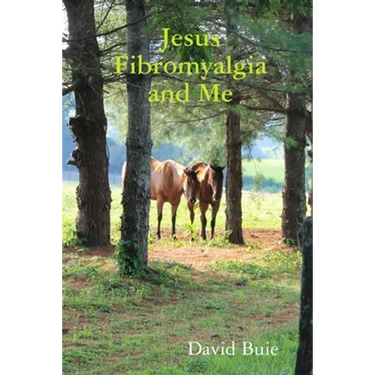 Jesus Fibromyalgia and Me