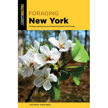 Foraging New York