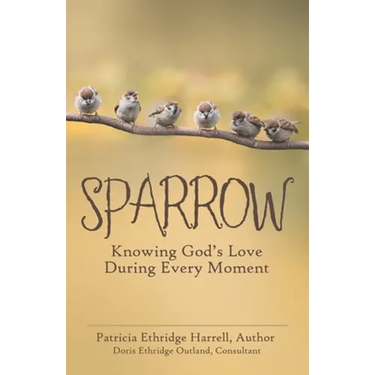 Sparrow: Knowing God's Love During Every Moment