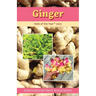 Ginger: Herb of the Year 2023