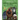 Mystery Creatures of China: The Complete Cryptozoological Guide