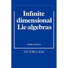 Infinite-Dimensional Lie Algebras