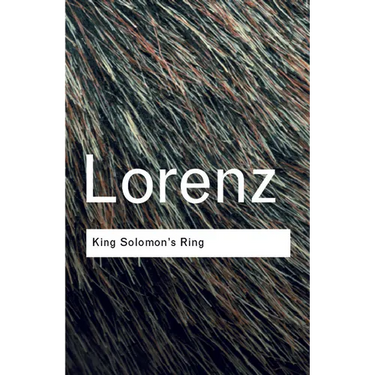 King Solomon's Ring