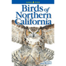 Birds of Northern California