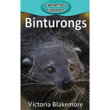 Binturongs