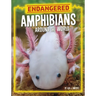 Endangered Amphibians Around the World