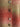 11be53cd-253b-43a5-a98d-b5ed69742582-Max