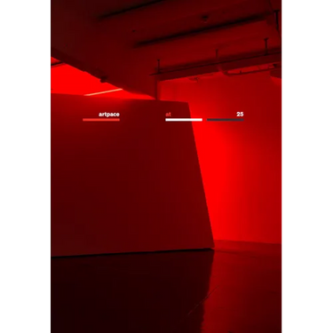 Artpace at 25