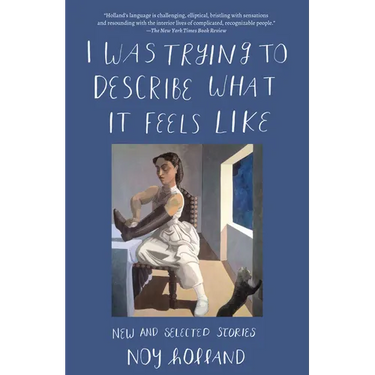 I Was Trying to Describe What it Feels Like: New and Selected Stories