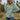 12791a5f3c6a44fa93f1a9cee815cedf-Max