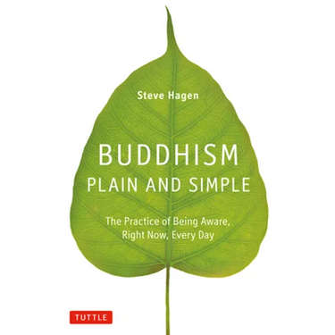 Buddhism Plain and Simple: The Practice of Being Aware, Right Now, Every Day