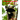 Pandas: Learn About Pandas Amazing Pictures & Fun Facts