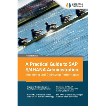 A Practical Guide to SAP S/4HANA Administration: Monitoring and Optimizing Performance