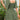 13a46673-a4c6-40b2-abed-fe6f5d673454-Max-Origin