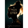 A Tiny Spark