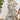 14dfcbfb-a65b-4cf7-b048-45ee2a9e582b-Max