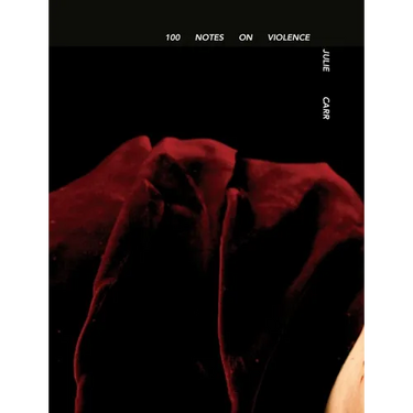 100 Notes on Violence