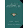 A Glimpse Of Andersonville And Other Writings (1896)