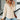 178240d69a7d46afb263bab5dc5afadc-Max