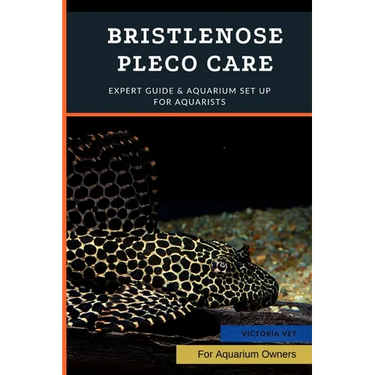 Bristlenose Pleco Care: Expert Guide & Aquarium Set Up For Aquarists