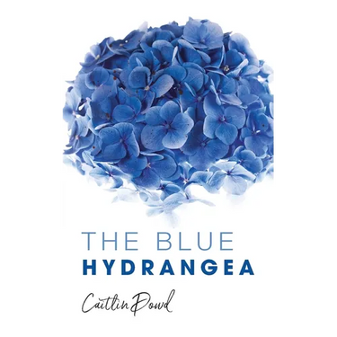 The Blue Hydrangea