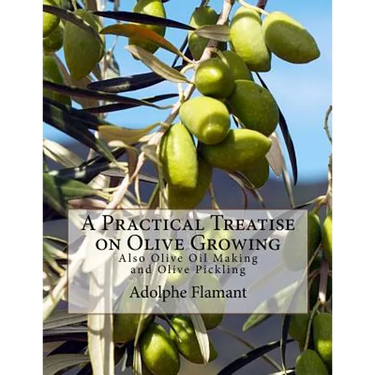 A Practical Treatise on Olive Growing: Also Olive Oil Making and Olive Pickling