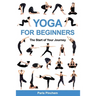 Yoga for Beginners: The Start of Your Journey