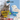 Spotted Eagle-Owl or Snowy Owl (Wild World: Hot and Cold Animals): Volume 3