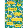 Behind the Beautiful Forevers: A Play