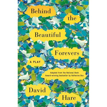 Behind the Beautiful Forevers: A Play