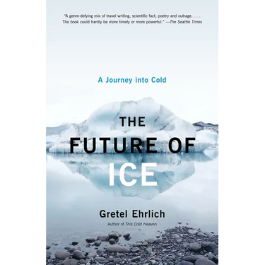 The Future of Ice: A Journey Into Cold
