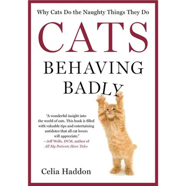 Cats Behaving Badly
