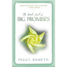 Little Book of Big Promises