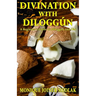Divination with Diloggún: A Beginner's Guide to Diloggún and Obi