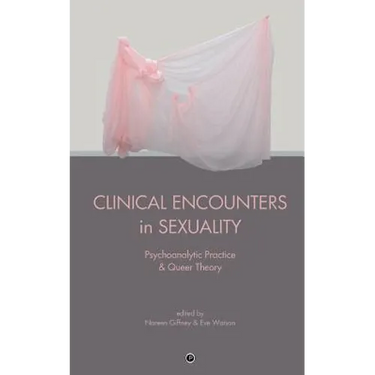 Clinical Encounters in Sexuality: Psychoanalytic Practice and Queer Theory