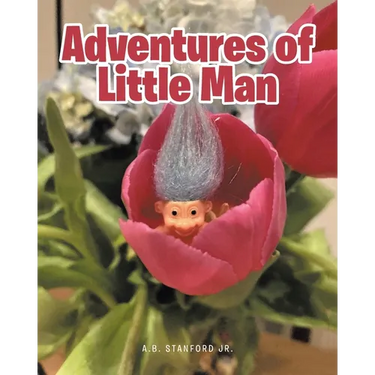 Adventures of Little Man