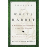 Chasing the White Rabbit: A Discovery of Leadership in the 21st Century