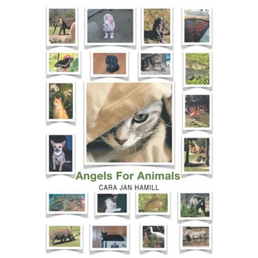 Angels for Animals