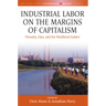 Industrial Labor on the Margins of Capitalism: Precarity, Class, and the Neoliberal Subject