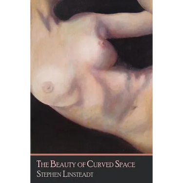 The Beauty of Curved Space