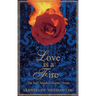 Love Is a Fire: The Sufi's Mystical Journey Home