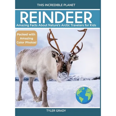Reindeer: Amazing Facts About Nature's Arctic Travelers for Kids