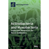 Actinobacteria and Myxobacteria: Important Resources for Novel Antibiotics