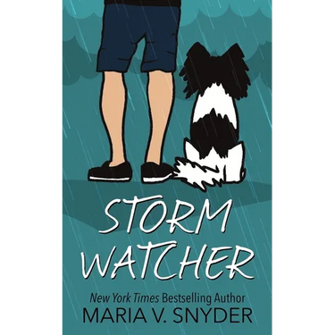 Storm Watcher
