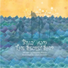 Billy and the Secret Ship