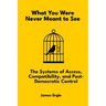 What You Were Never Meant to See: The Systems of Access, Compatibility, and Post-Democratic Control