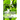 Ginkgo Biloba