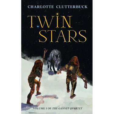 Twin Stars
