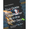 Tour Guide to Underwater Life in the Salish Sea: An Underwater Puget Sound Book Series