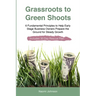 Grassroots to Green Shoots: 6 Fundamental Principles to Help Early Stage Business Owners Prepare the Ground for Steady Growth